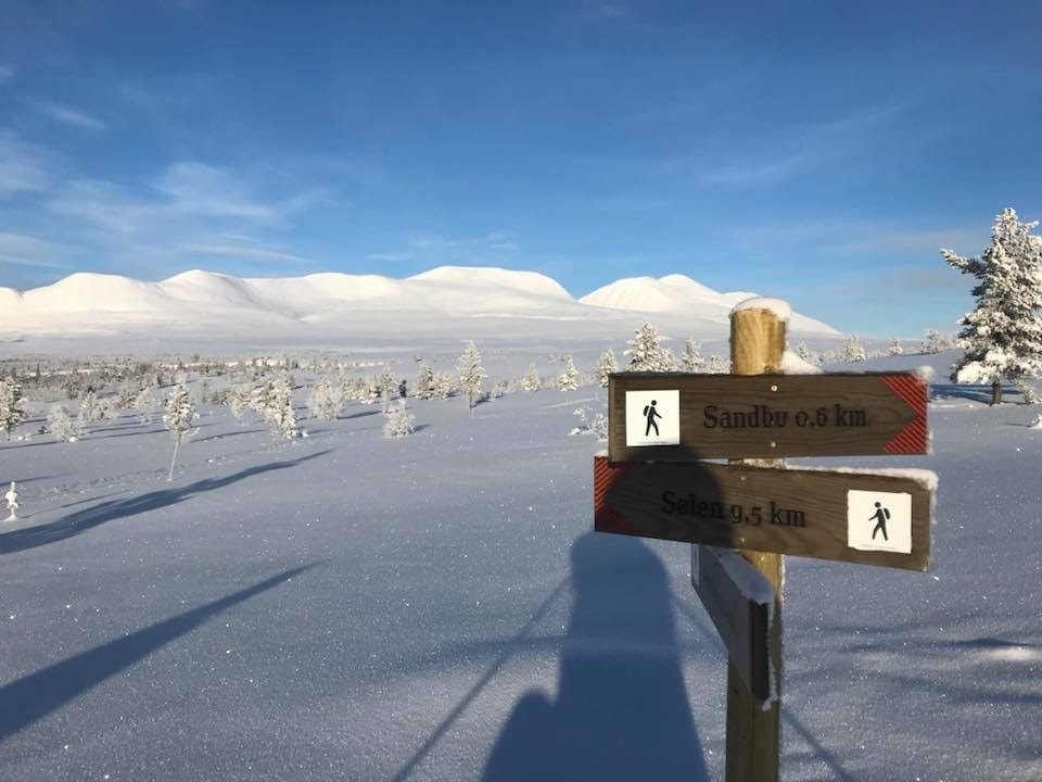 For å komme i den riktige fjellstemningen tar vi dere med på en liten omvisning ved Sølen; i Renålias nærområde. Men vil du stå over turen, klikk deg fram til bilde nr.35 for å ta en kikk på tomtene. Galleribilde