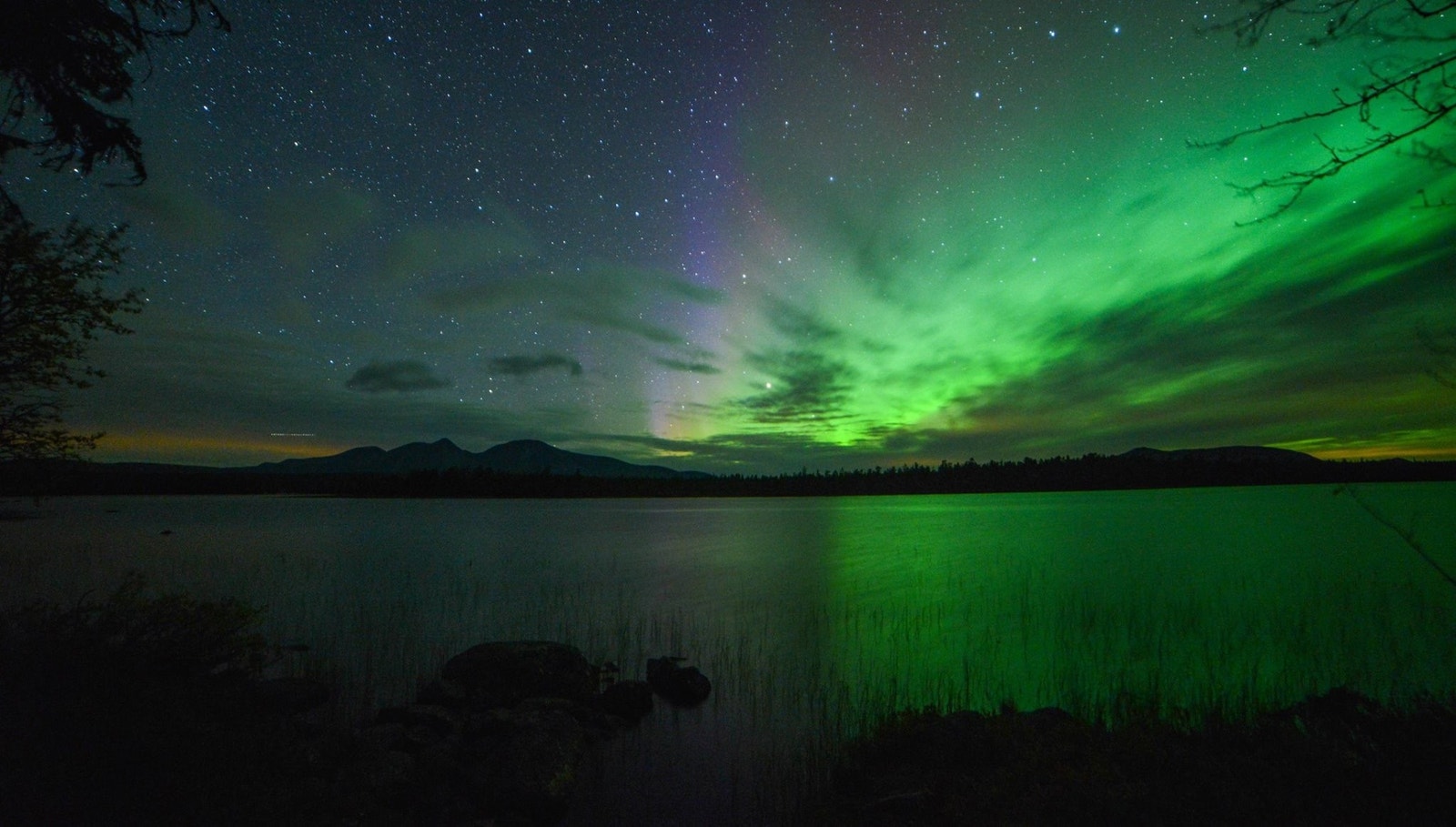 Aurora Borealis, Nordlyset - danser over Sølen. Under vikingtiden forbandt folk flest nordlyset med døde jomfruer som danset og vinket ned til oss på jorden..Eller som en bro som forbinder himmel og jord; de døde og de levende. foto: Nils-Erik Enberg Galleribilde