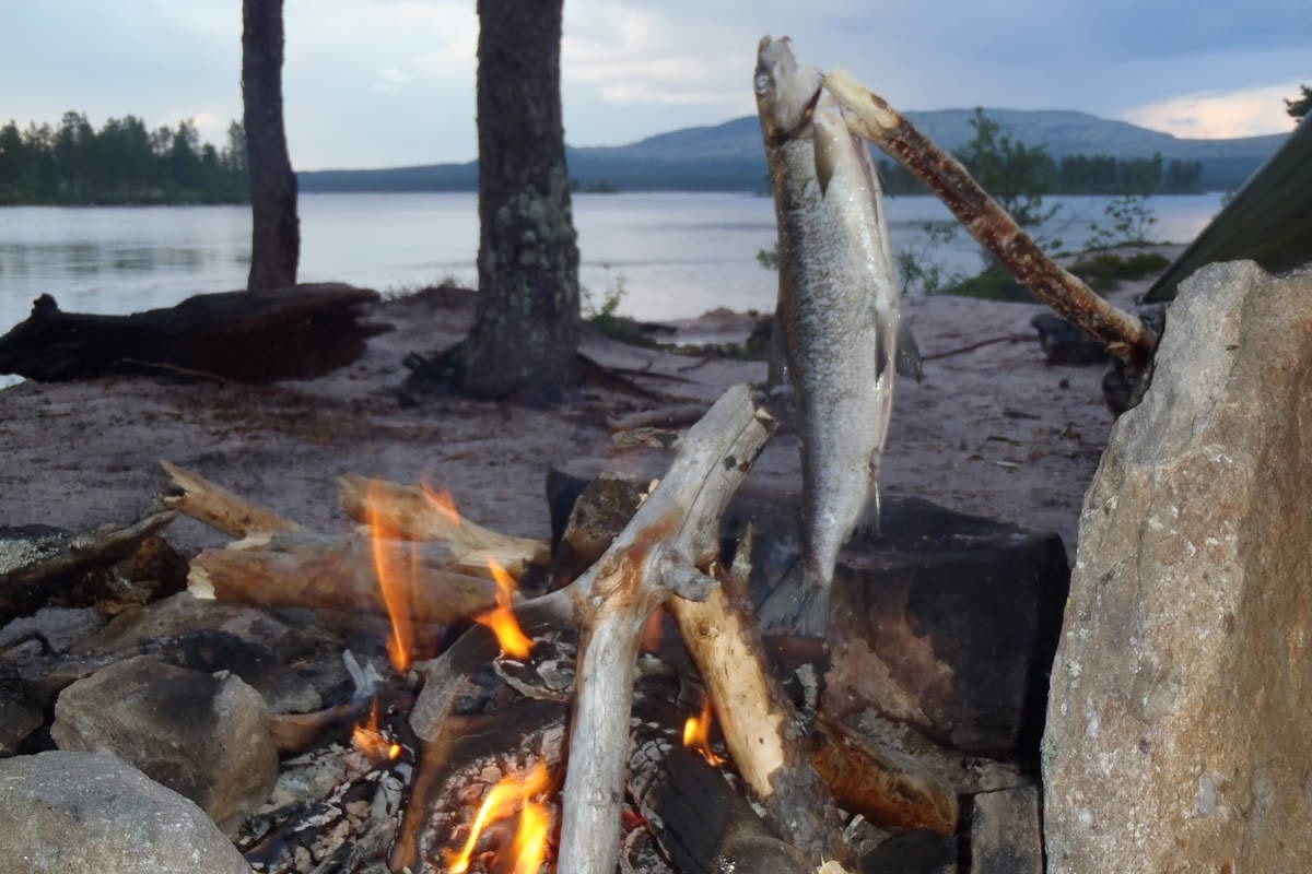 Kortreist snadder!
fotos: Visit Norway/wildernesslife Galleribilde