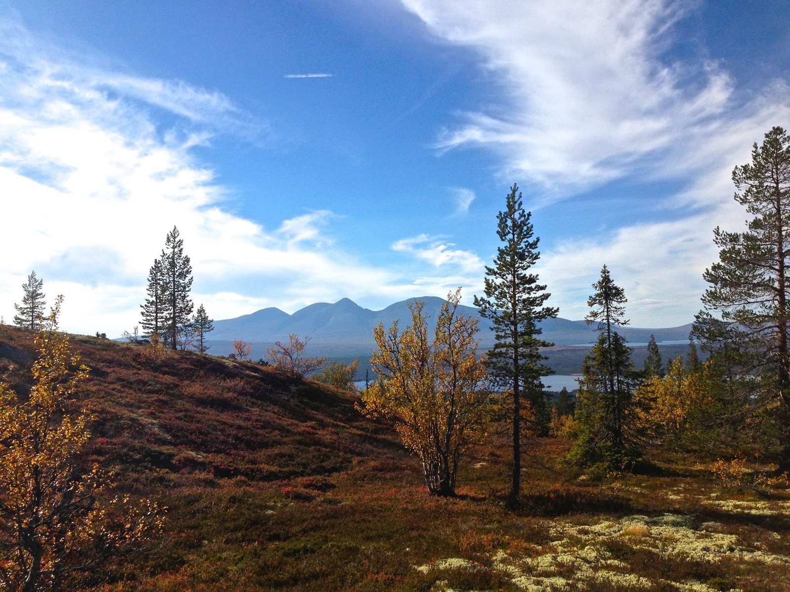 Rendalen er en perle, en godt skjult hemmelighet. Nå er tiden inne og la alle som er oppriktig glad i vakker natur og stillhet, få ta del i dette smykket av en fjellkommune! Her finnes kvaliteter som vil bli mer og mer etterspurt og eksklusivt. Galleribilde