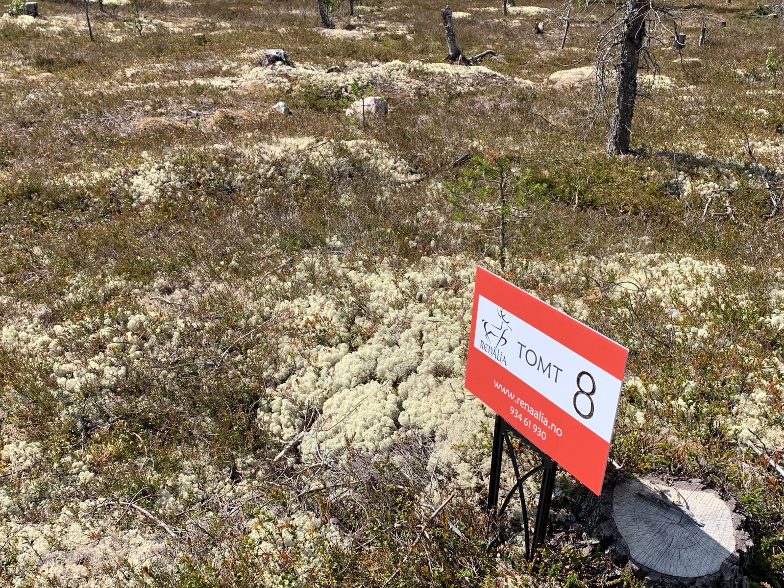 Vi har plassert slike tomteplakater i terrenget (tomt 01-13). Tomtenumrene er også plassert på trærne i det nordøstre hjørnet av den respektive tomten. (Rødt skilt på trærene). Galleribilde
