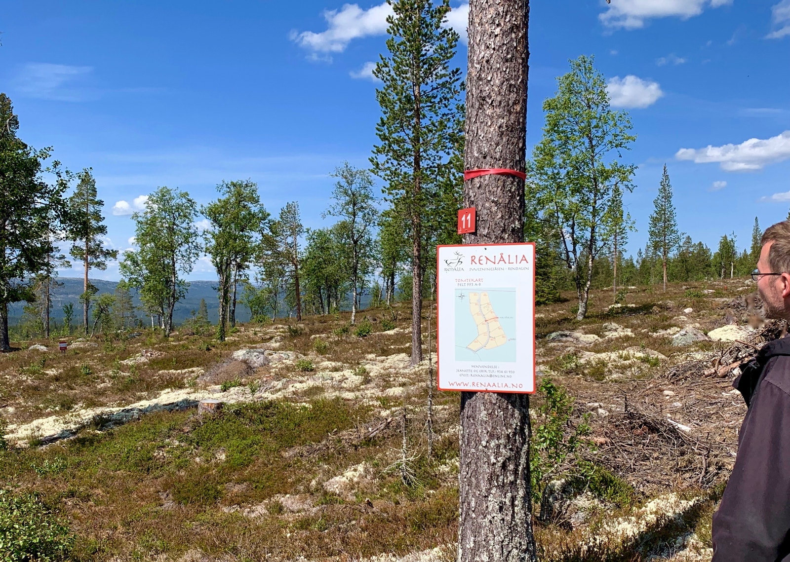 Plakat over tomteområdet finner du på tomt 11. Galleribilde