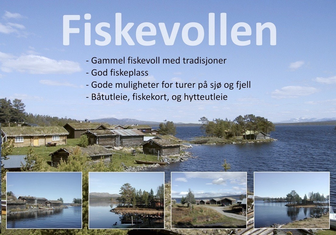 Fiskevollen! Galleribilde