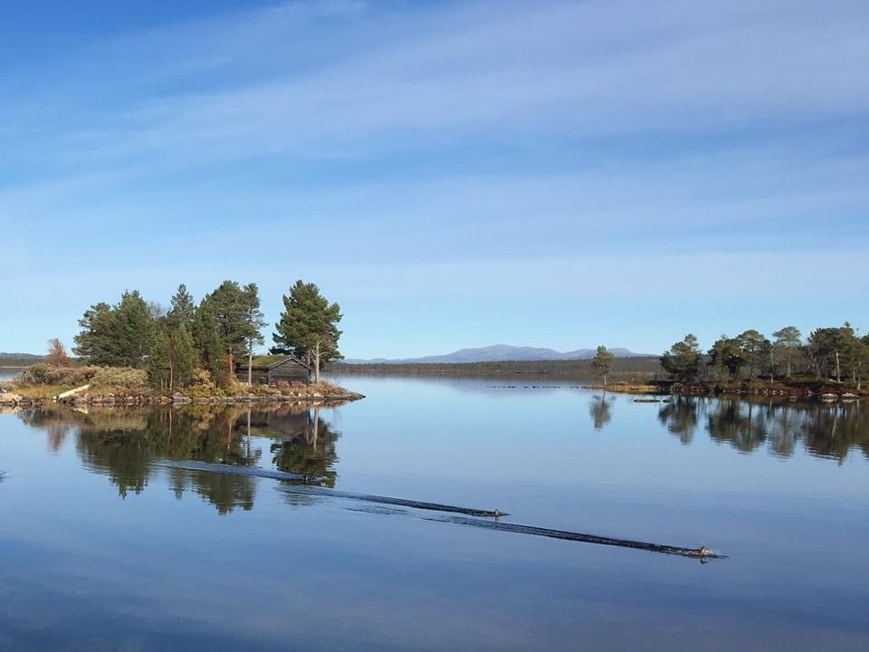 Stillhet, ro og langsomhet før den nye dagen i fjellet.. Galleribilde