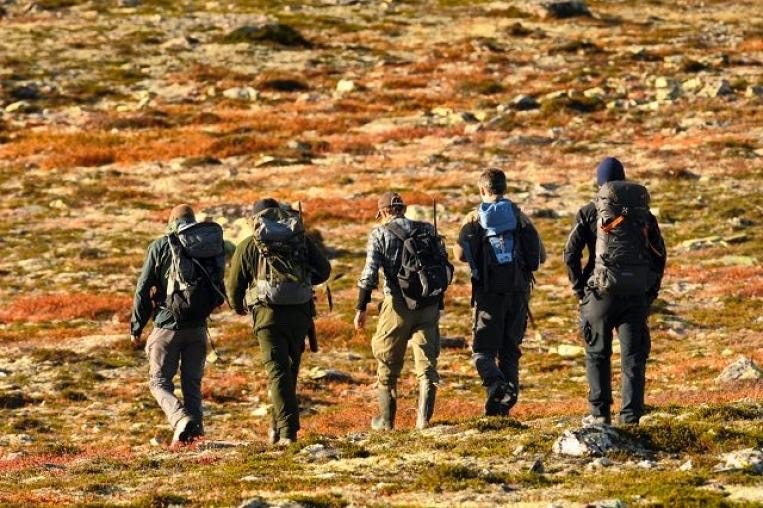 Hvis du lurer på noe vedrørende jakt og fiske i Rendalen, gå inn på: ttps://www.njff.no/fylkeslag/hedmark/lokallag/ytrerendal Galleribilde