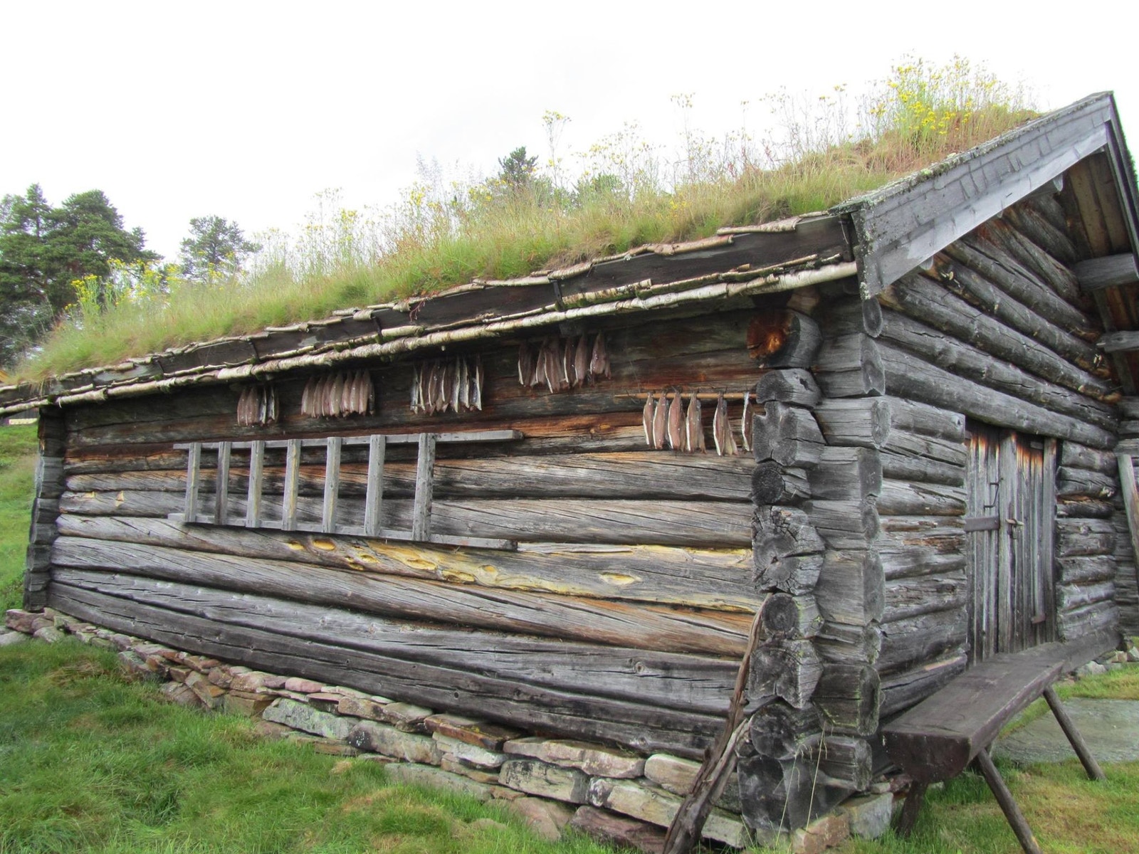 Sik til tørk!
foto: Bodil Nordhagen Galleribilde