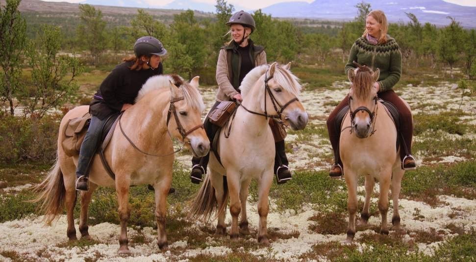 Rendalen Fjellridning tilbyr fjellturer høyt til hest. Turene går over de store viddene. Et fantastisk rideterreng! Galleribilde