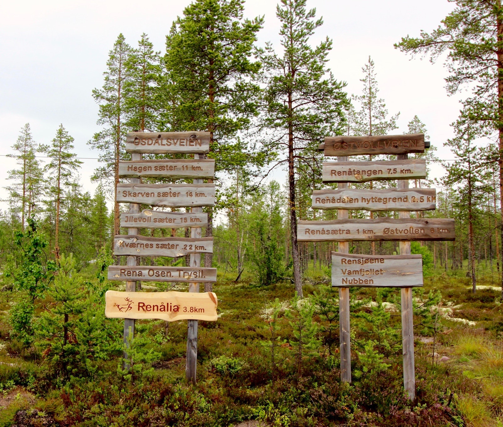 Renålia har fått satt opp et flott skilt ved bommen ved Fv217 (Engerdalsveien). Herfra går Osdalsveien (vår) og Østvollveien. Galleribilde