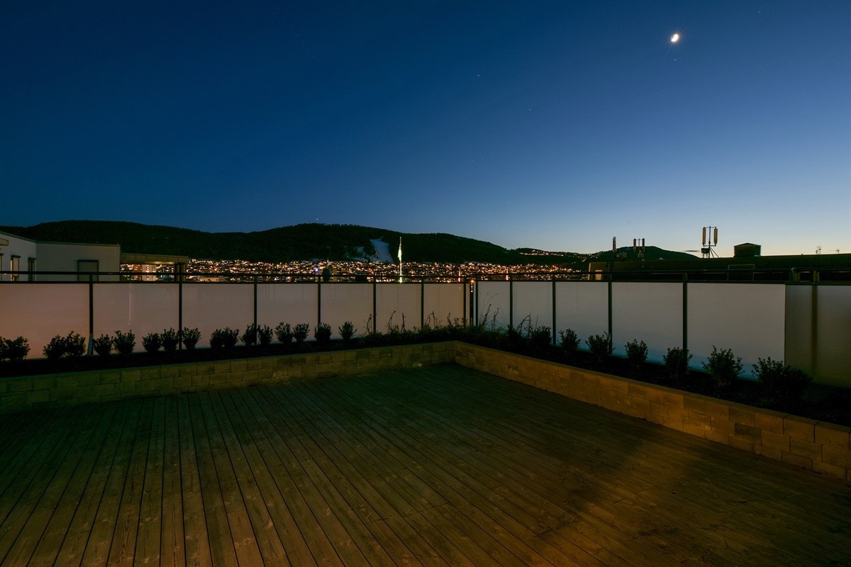 Felles takterrasse. Galleribilde