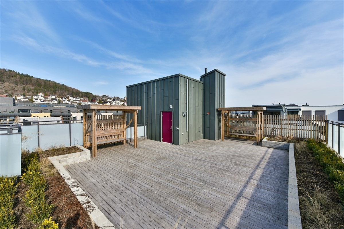 Stor, felles takterrasse med masse sol og utsikt i alle retninger. Galleribilde