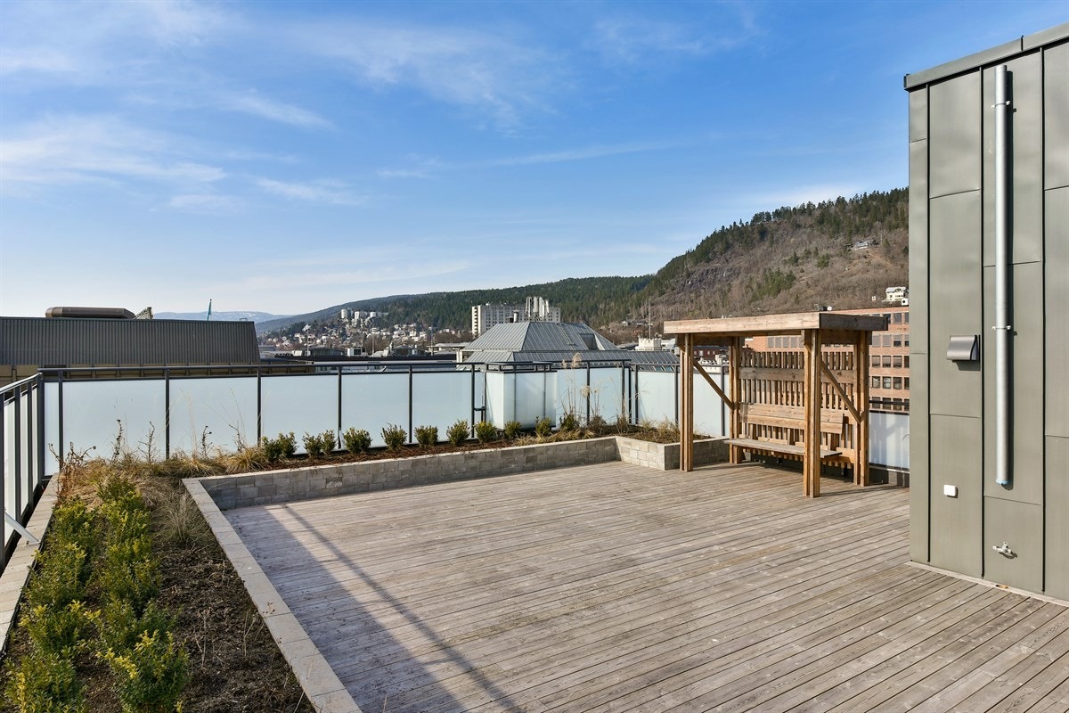 Felles takterrasse. Galleribilde