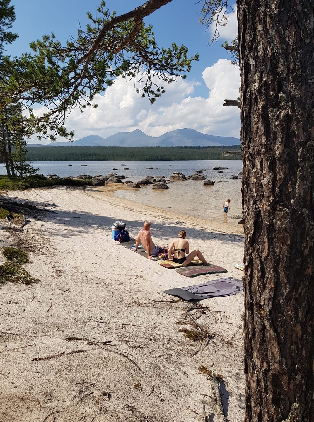 Strandliv ved Galtsjøen juli 2018!
foto: Lise Sveen Knutsen Galleribilde