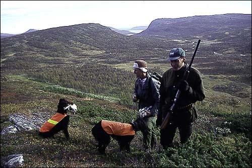 Jakt på rein og elg var selve årsaken til at de første menneskene slo seg ned her etter den siste istiden. Det finnes flere gamle fangstanlegg spredt omkring i fjellet. Spennende historier! Galleribilde