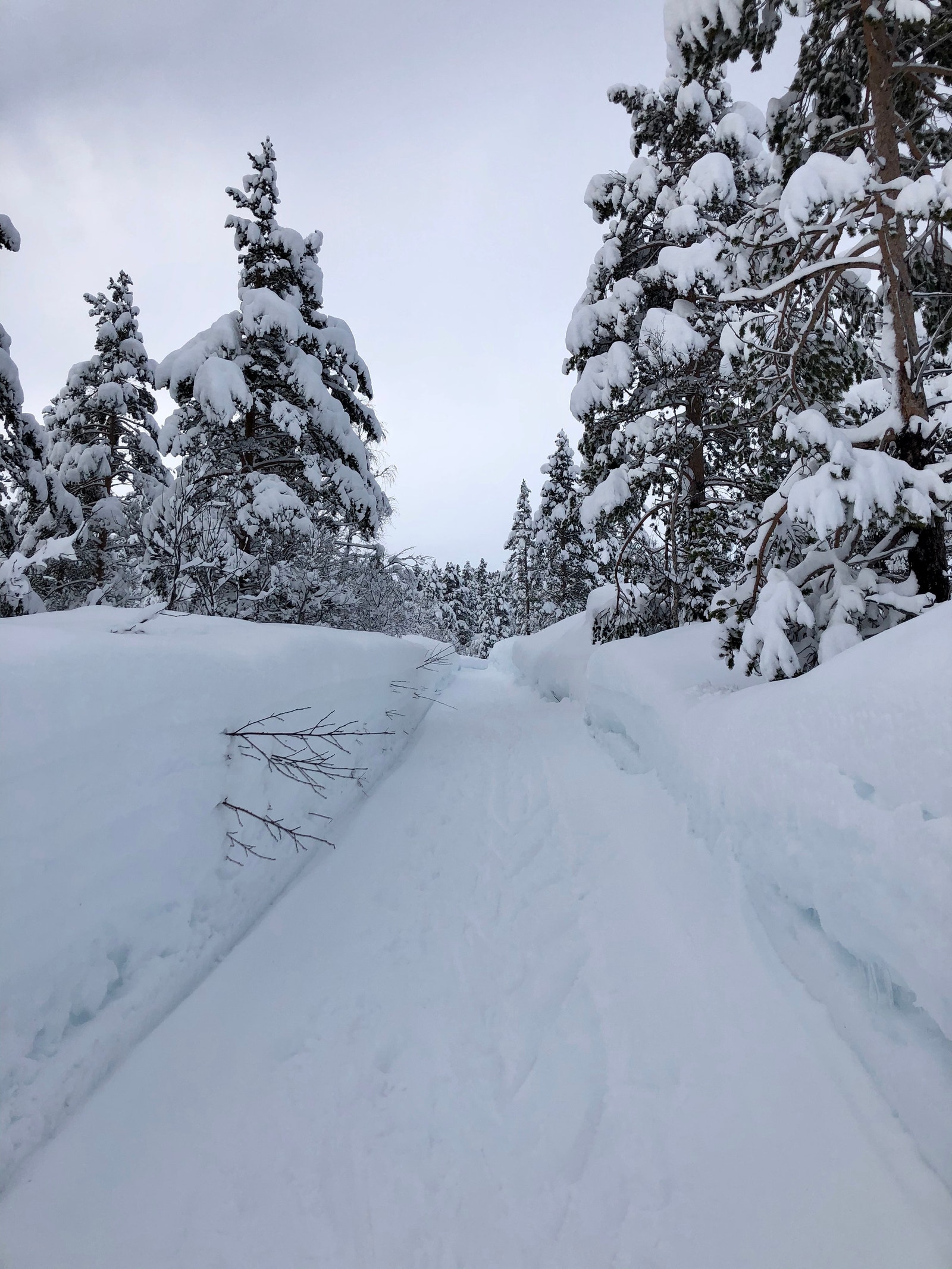 Vintervei opp til hytta (Foto: Siv Helen Lekven) Galleribilde