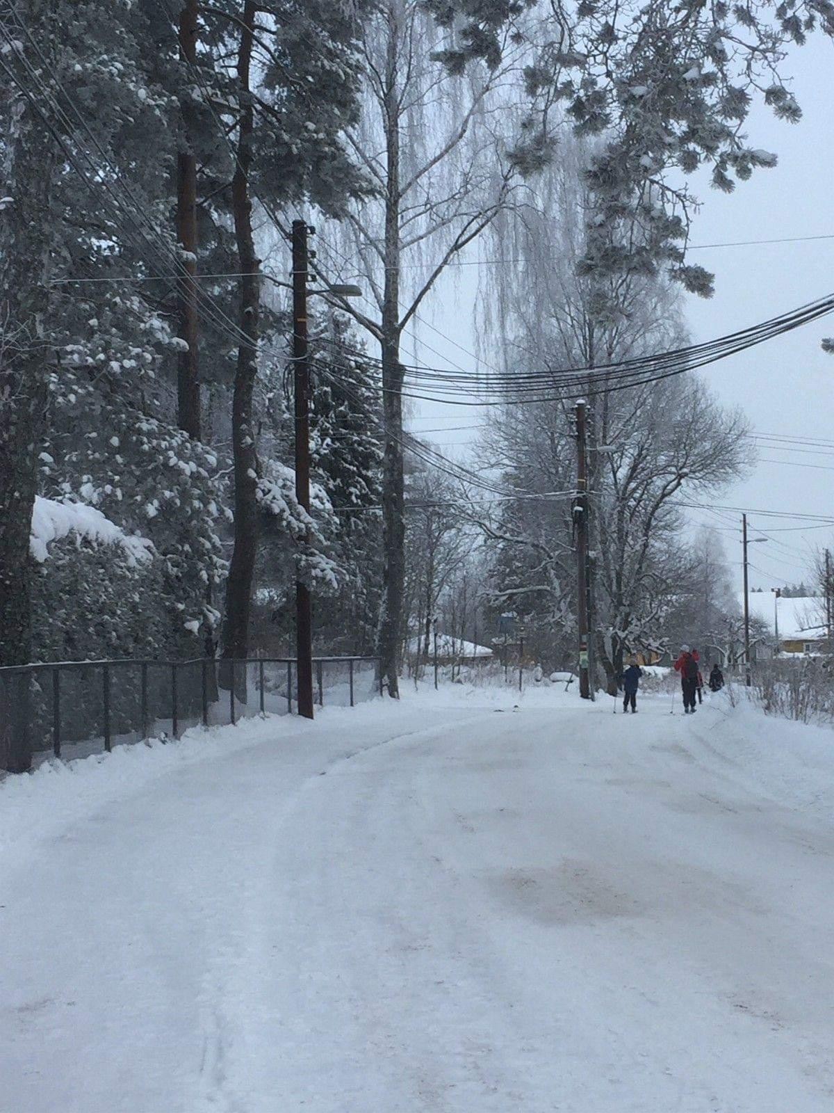 Turløyper rett utenfor døren Galleribilde