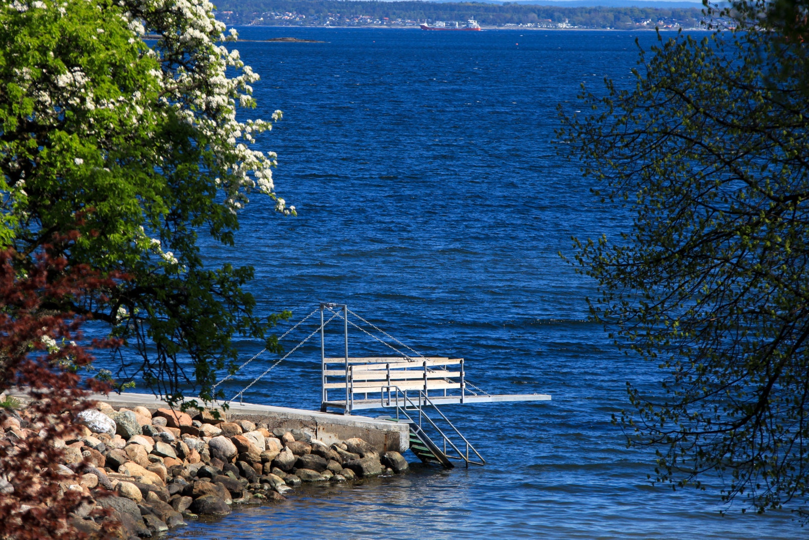 Del av badestrand Galleribilde