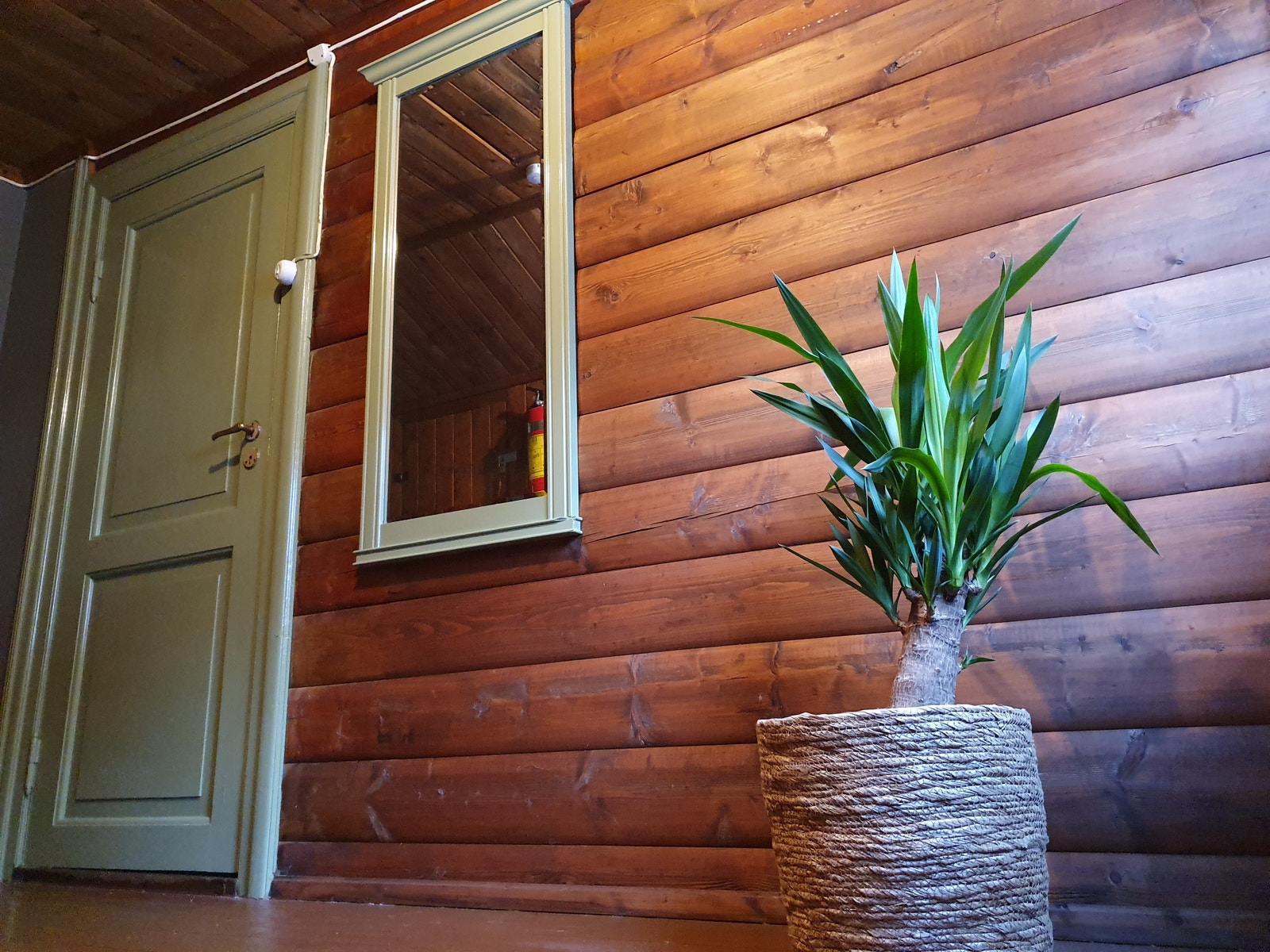 Finn roen Galleribilde