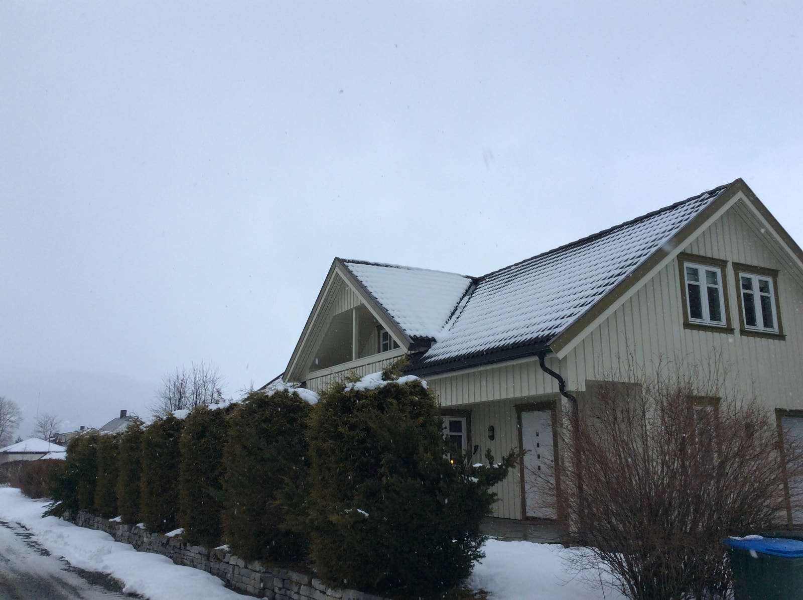2.egt. Galleribilde