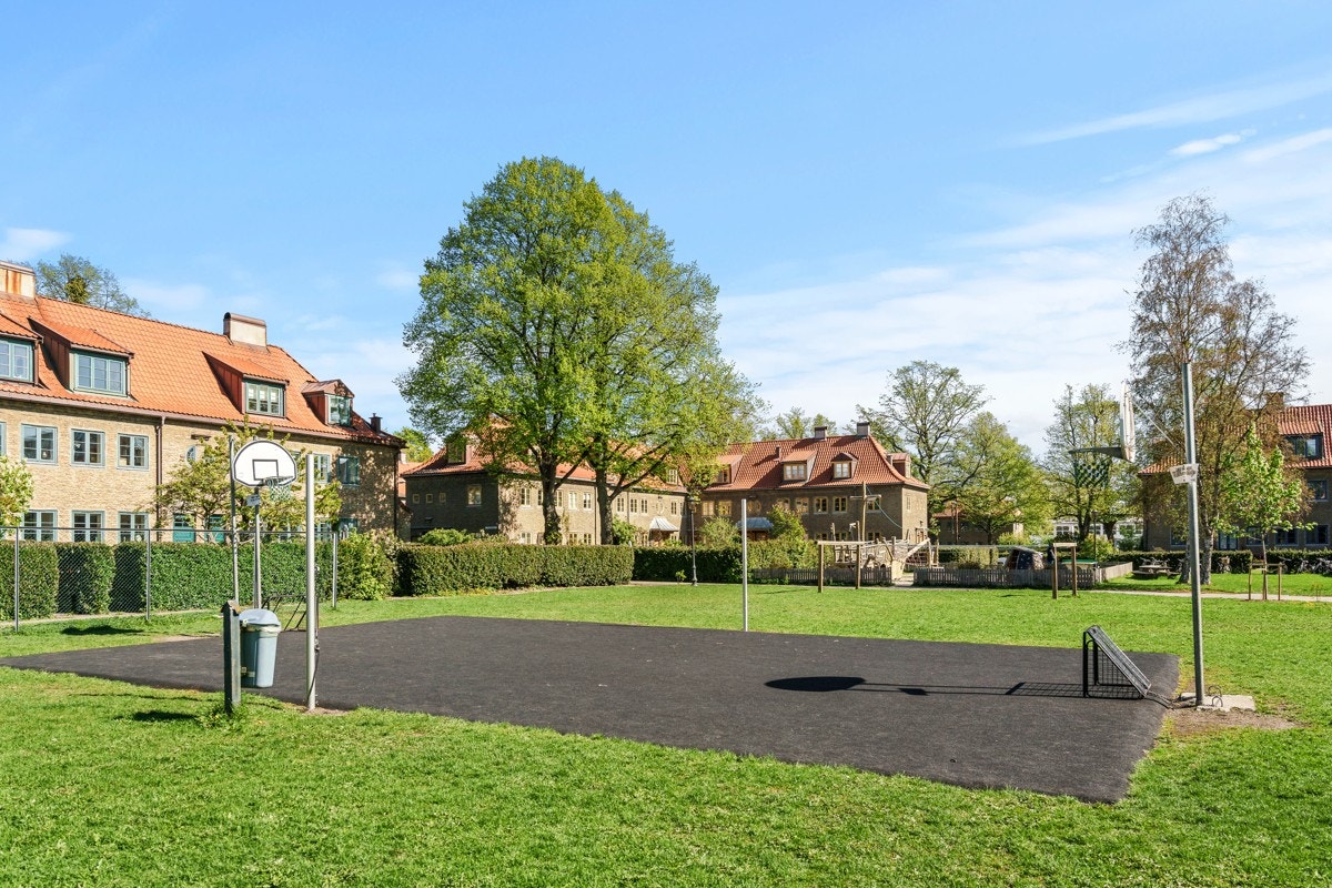 Flotte fellesarealer med både basketbane og utegym. Galleribilde