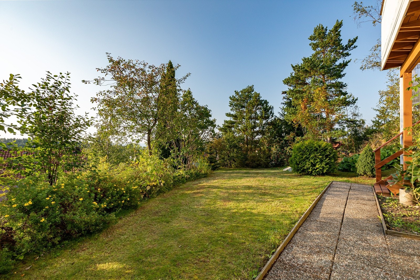 Hagen mot vest Galleribilde