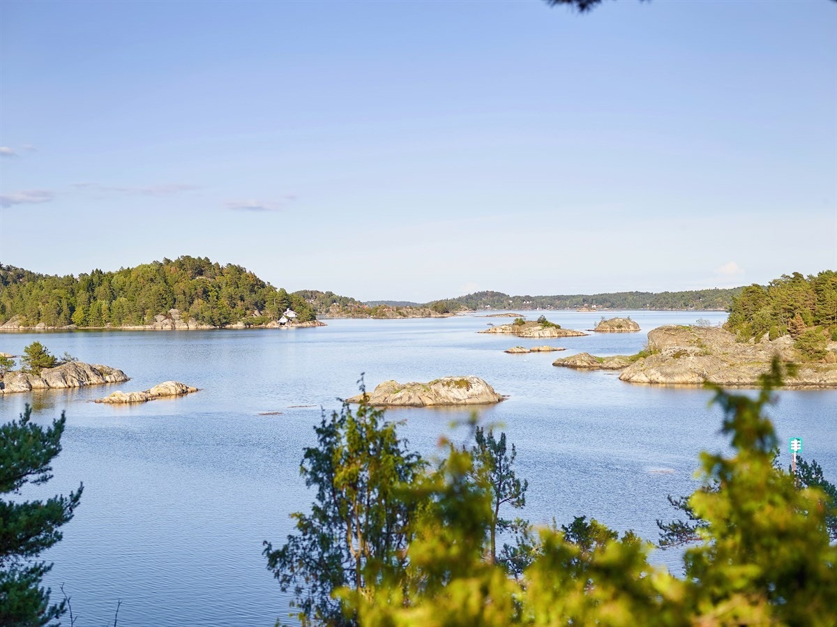 Utsikt mot nord og øst Galleribilde