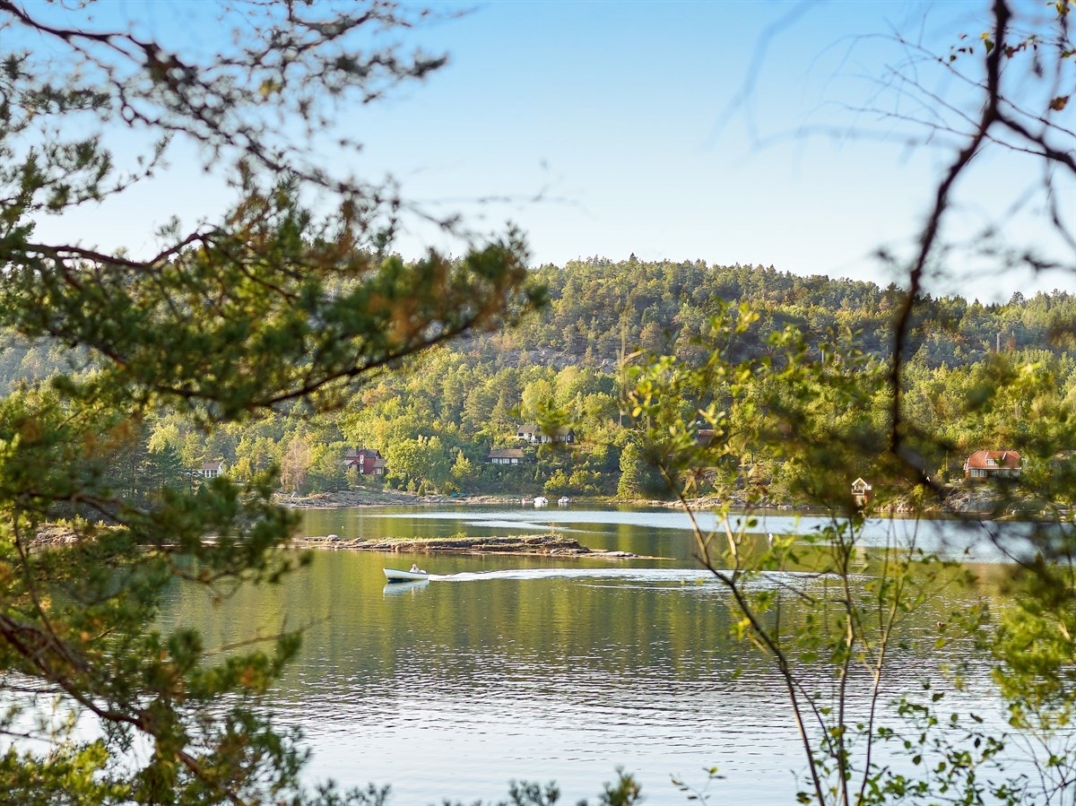 Utsikten mot nord Galleribilde