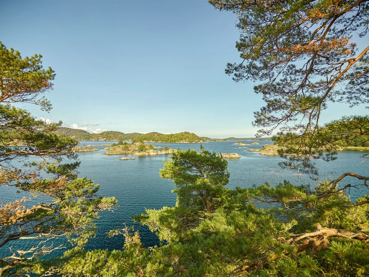 Utsikt mot nord og øst Galleribilde