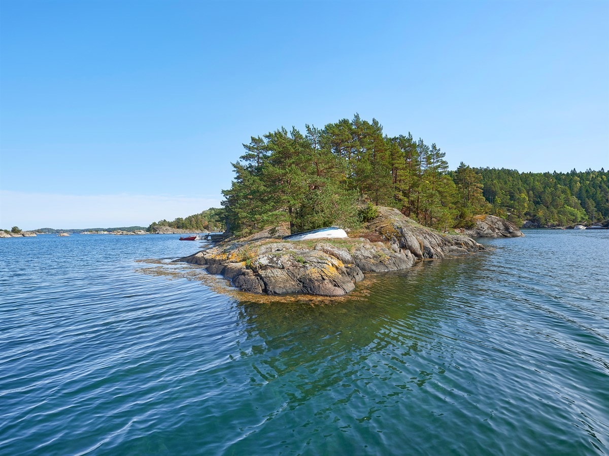 Øyas Vestre tupp Galleribilde