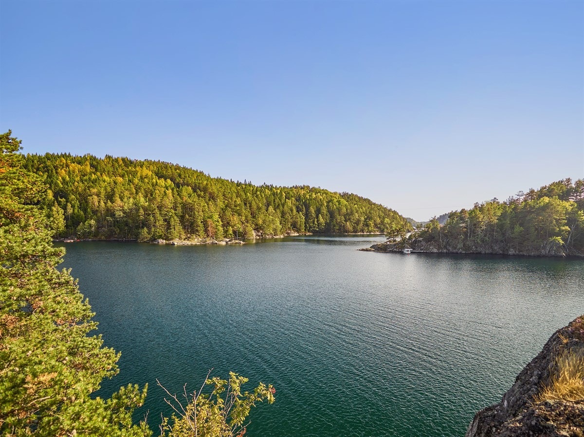 Utsikt fra terrassen mot syd Galleribilde
