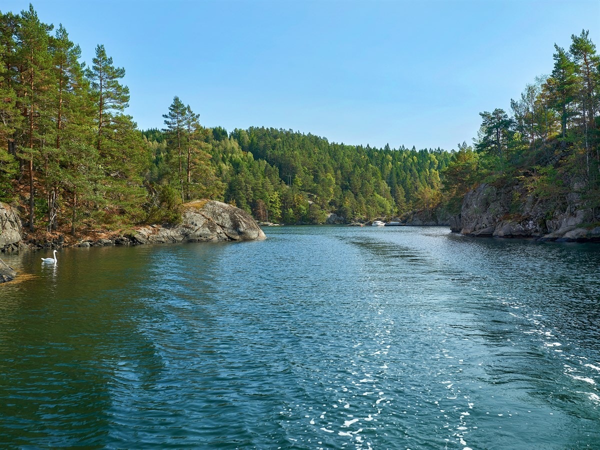 Sundet mellom øya og fastlandet Galleribilde
