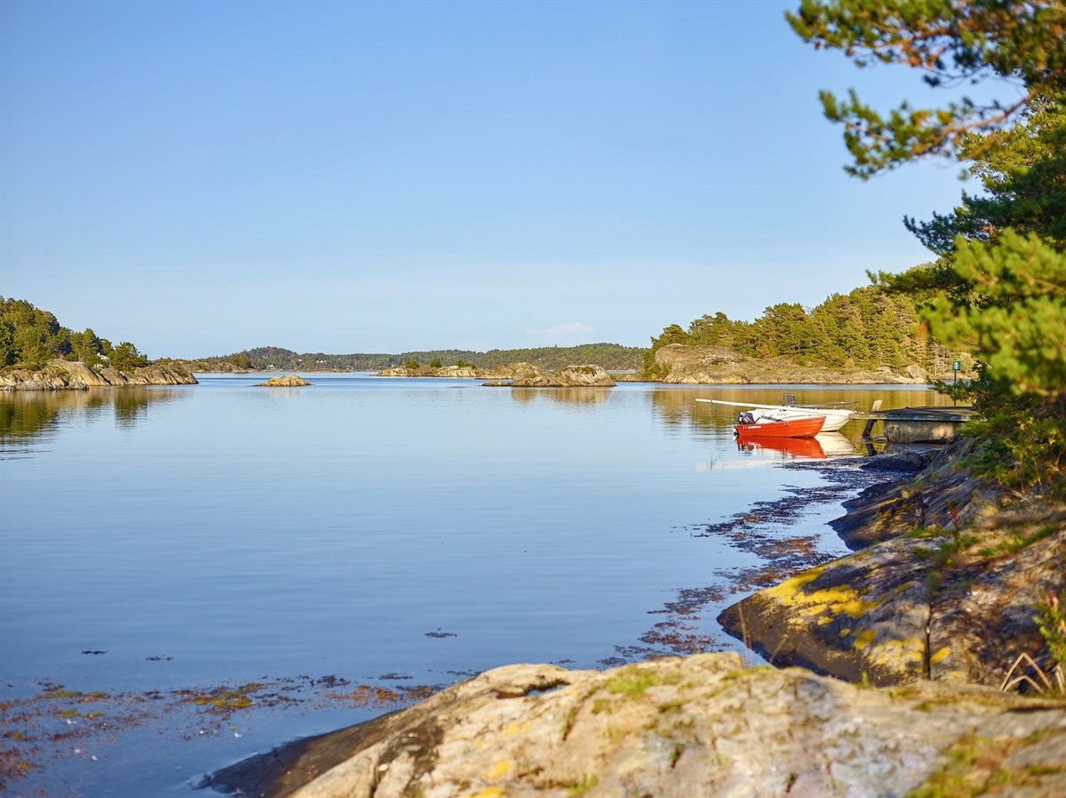 Strandlinje Galleribilde