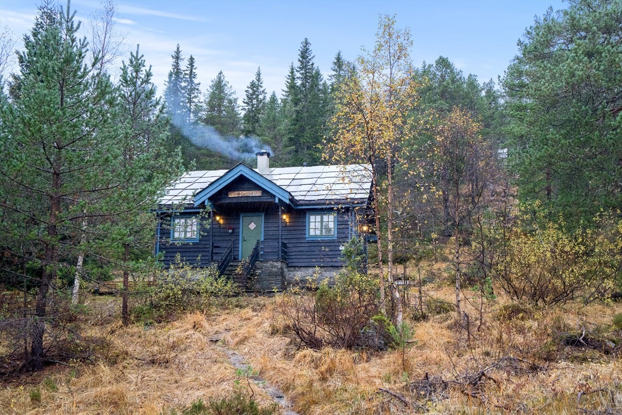 Hardangerteknikken på taket er et praktstykke av et arbeid. Galleribilde