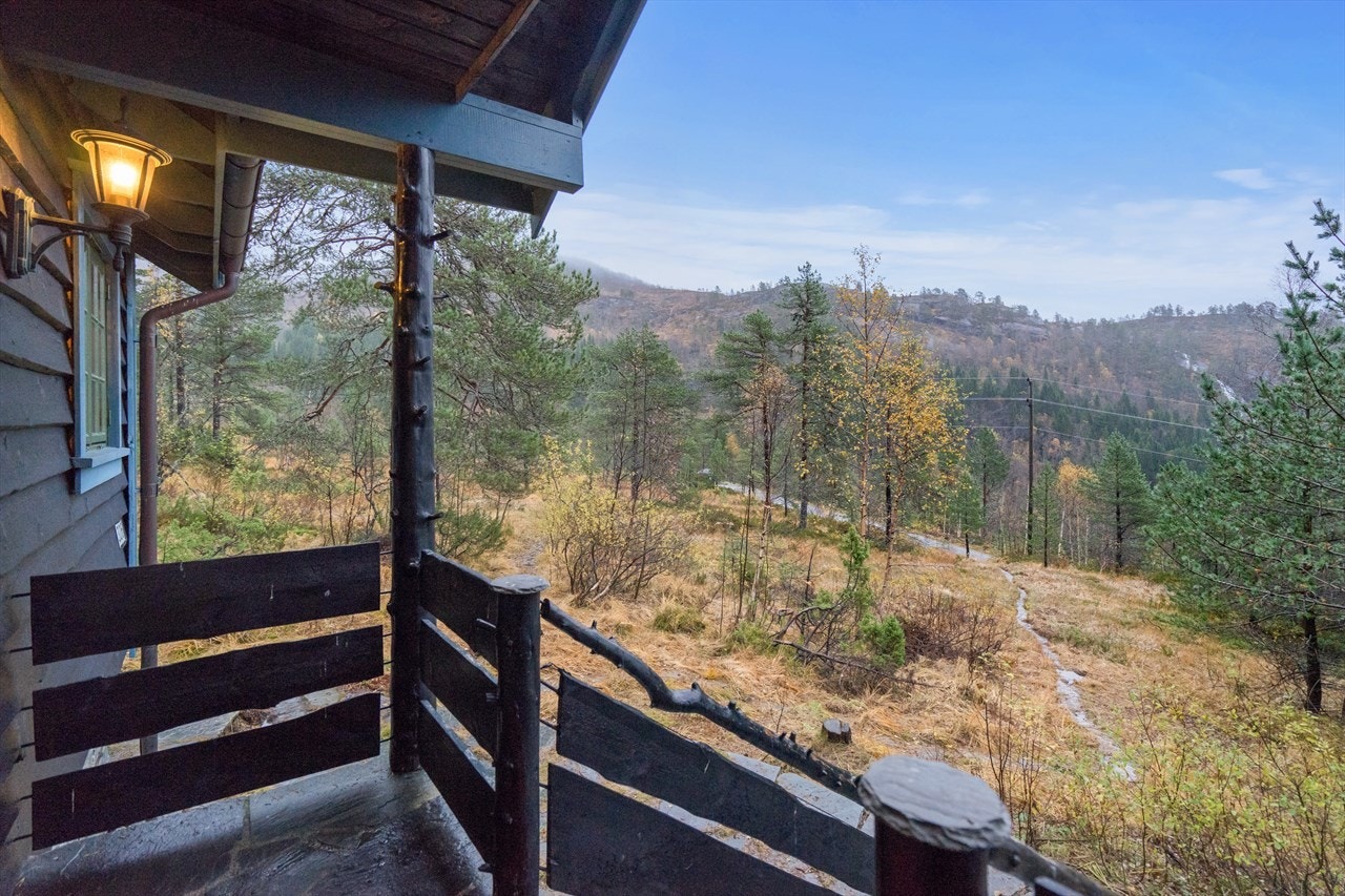 Adkomstvei ligger ca. 50 meter fra hytten. Galleribilde