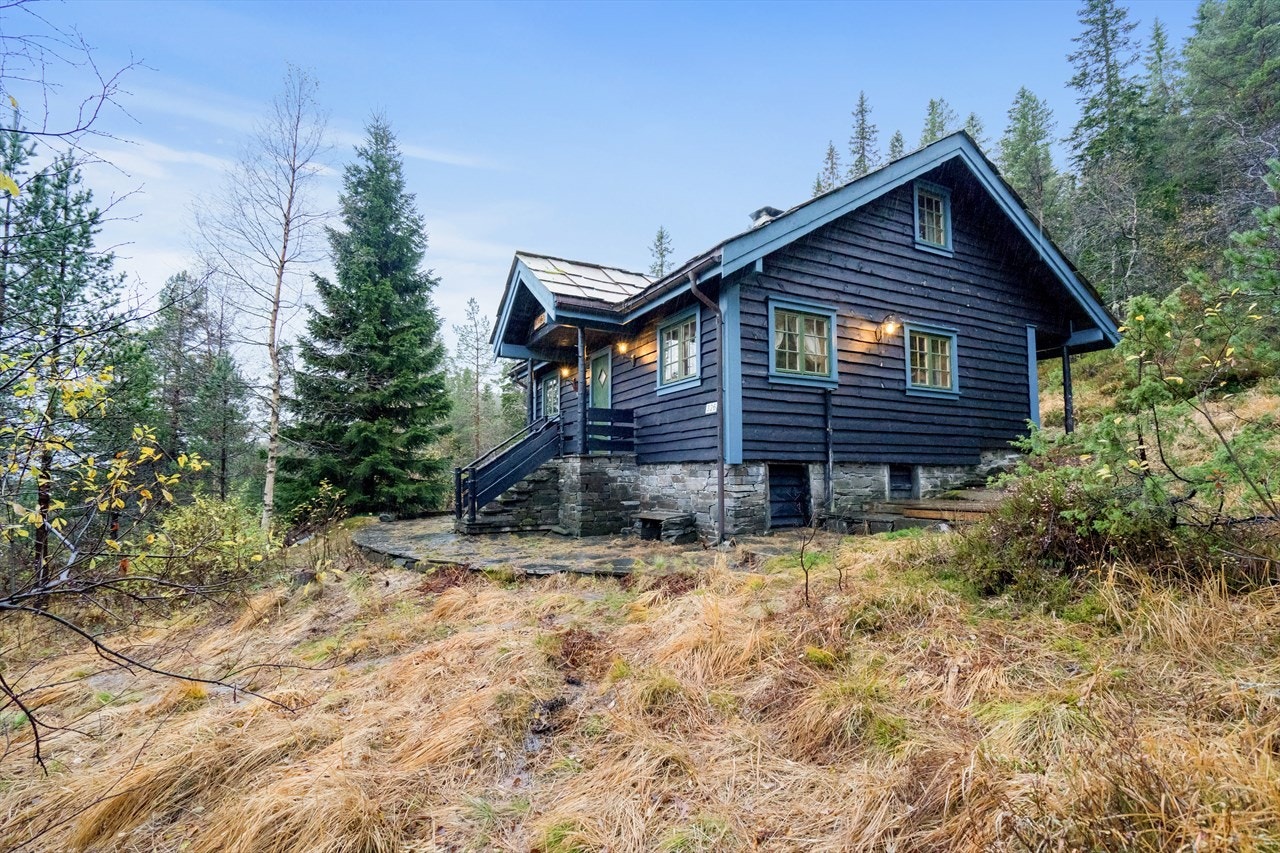 Velkommen til denne flotte hytten i Geilavegen 326! Galleribilde