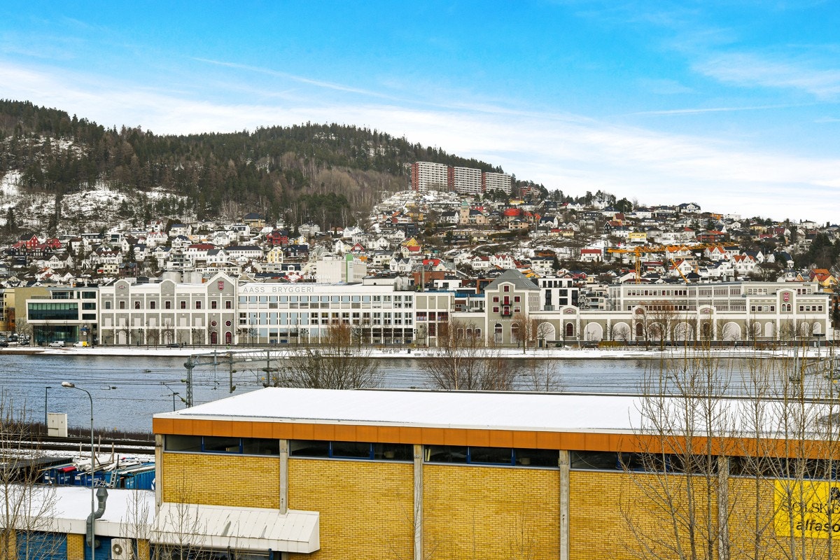 Flott utsikt til Drammenselven fra felles terrasse. Galleribilde