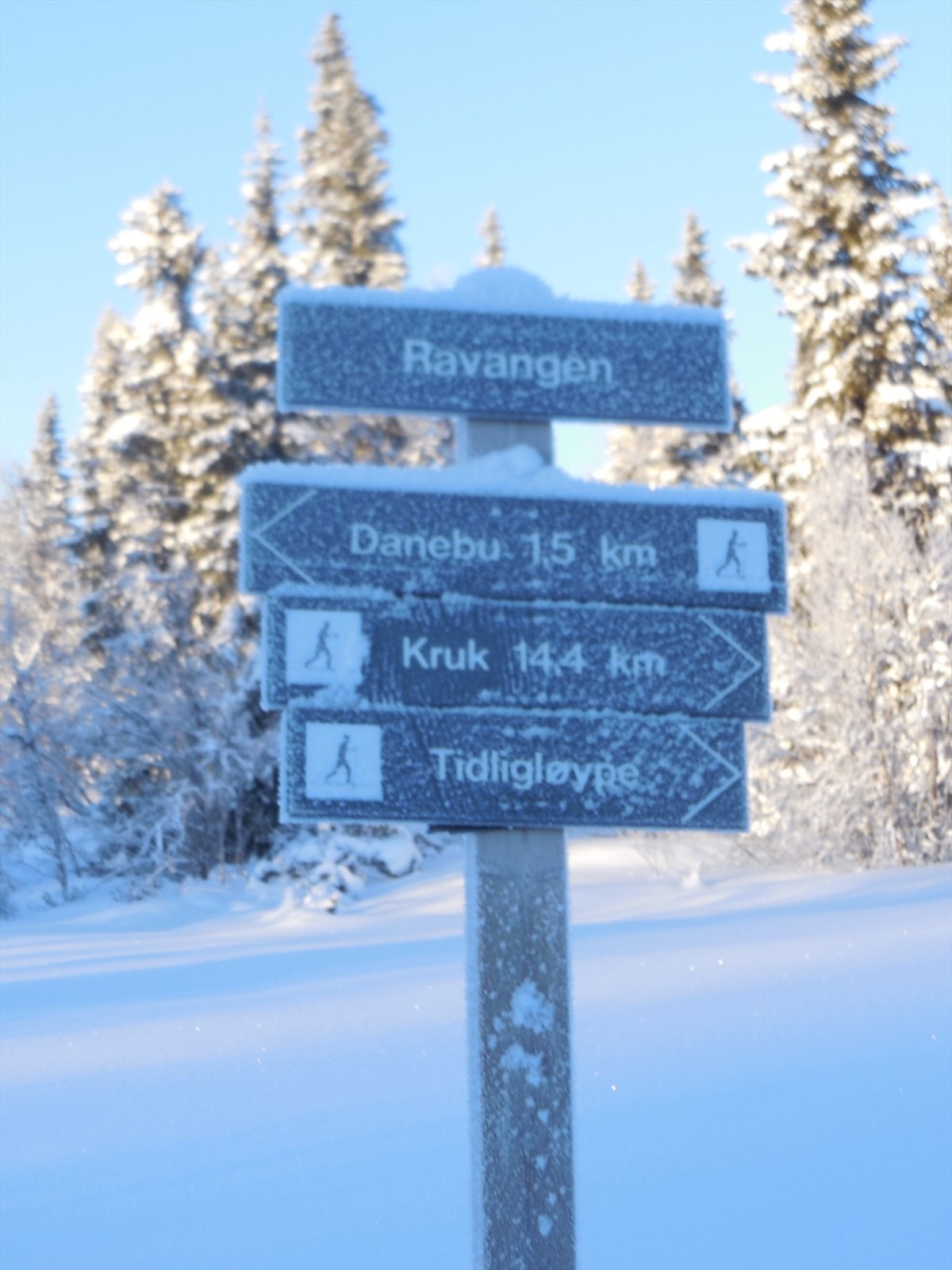 Vinterbilde tatt av selger Galleribilde