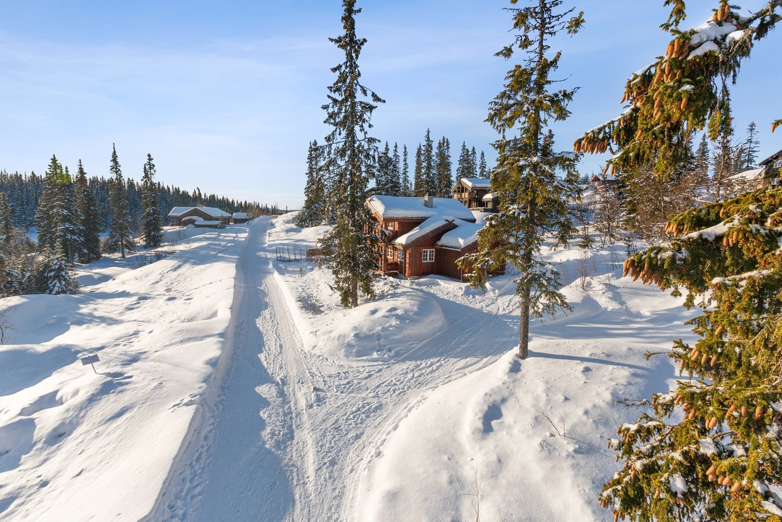 Velkommen til Tranebergsletta på Aurdalsåsen! Her kan du ta på skiene rett utenfor døra, kun 200 m fra kjørte skiløyper Galleribilde