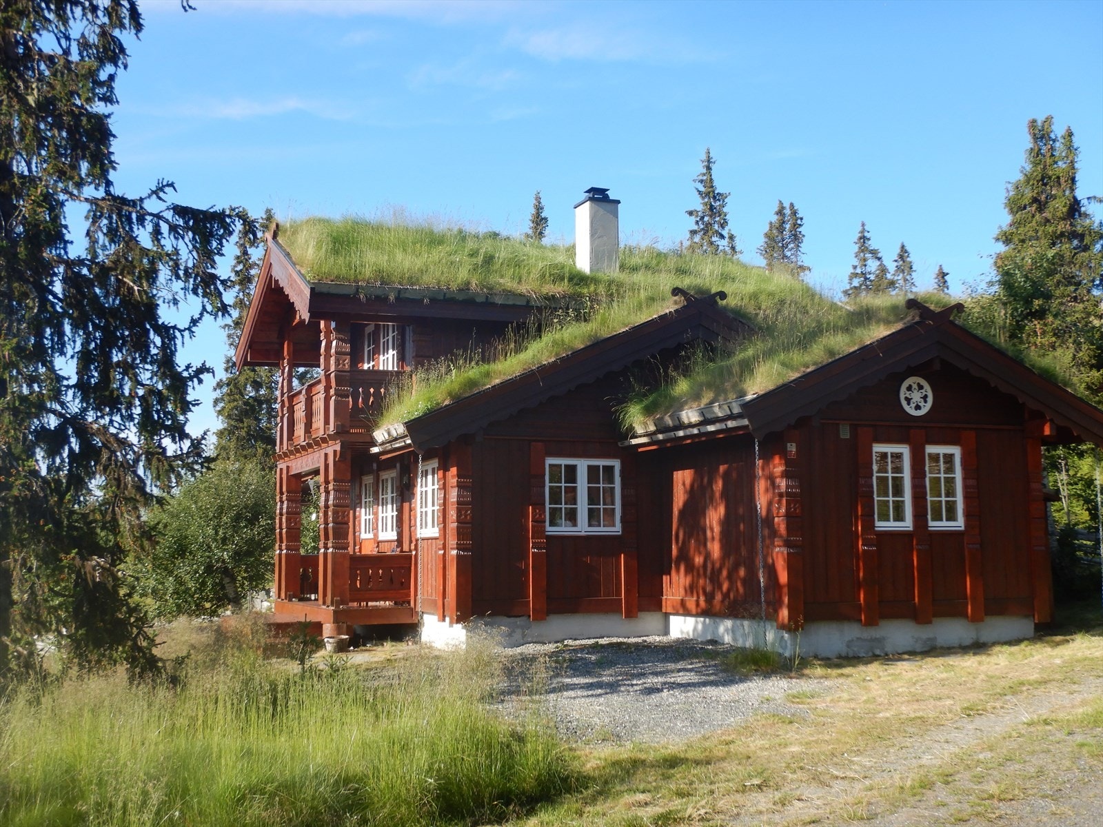 Sommerbilde tatt av selger Galleribilde