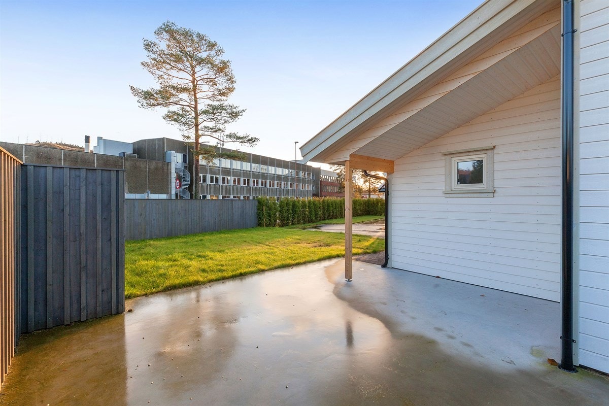 IMG_1411 Galleribilde