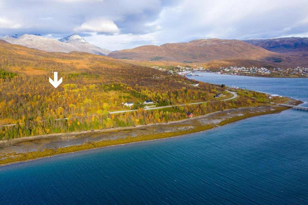 Her har man umiddelbar tilgang på skog, sjø og fjell