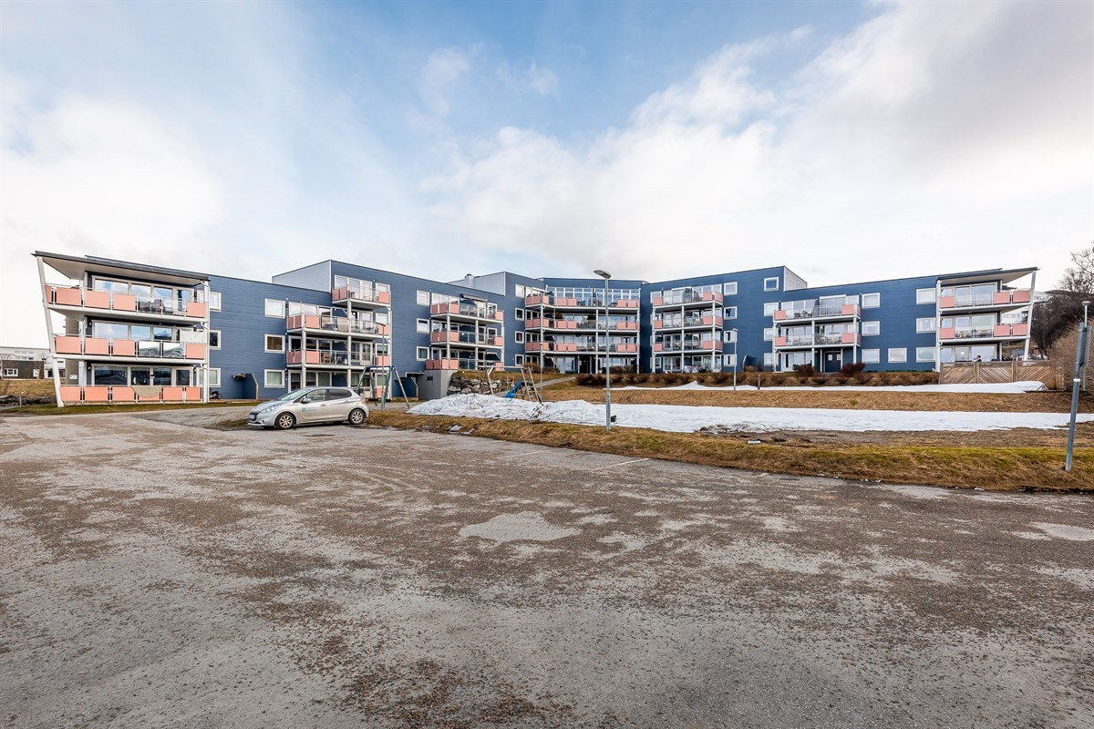 Området er solrikt, barnevennlig og har kort vei til både barnehage og skole