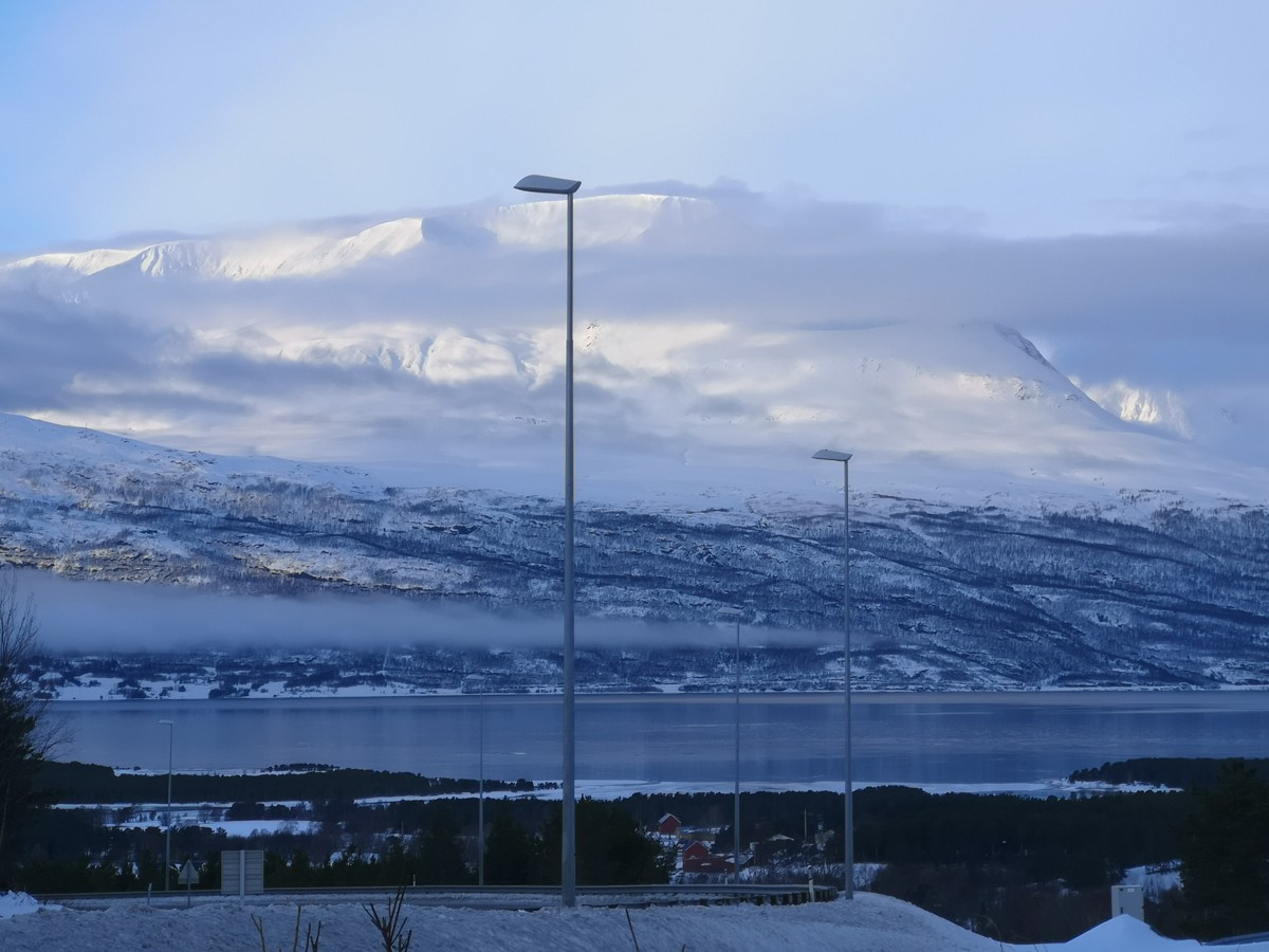 Bilde fra nærområde