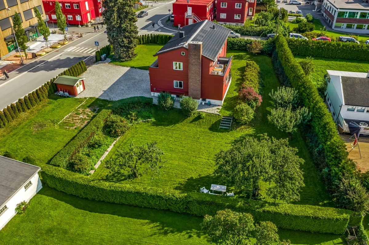 Stor flat, pent opparbeidet og beplantet tomt Galleribilde