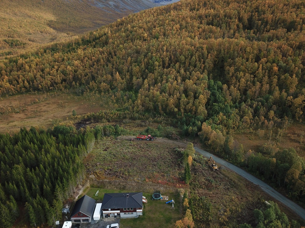 Bjørnskardalen, Fagerfjellet og Hamperokken ligger like bak feltet