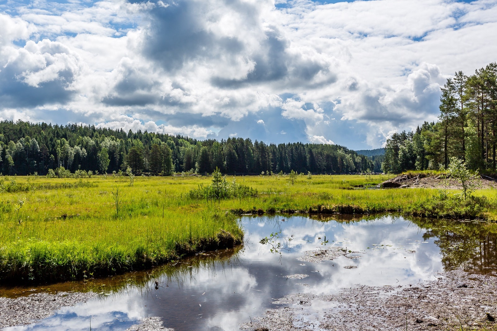 Idylliske Nøklevann! Galleribilde