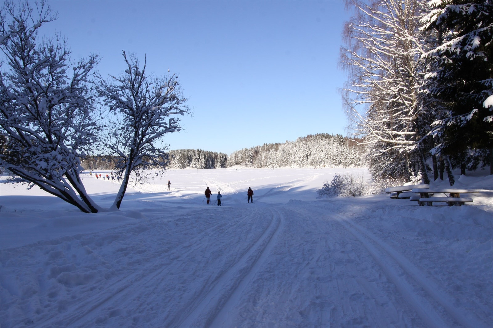 Kan en skitur friste? Galleribilde