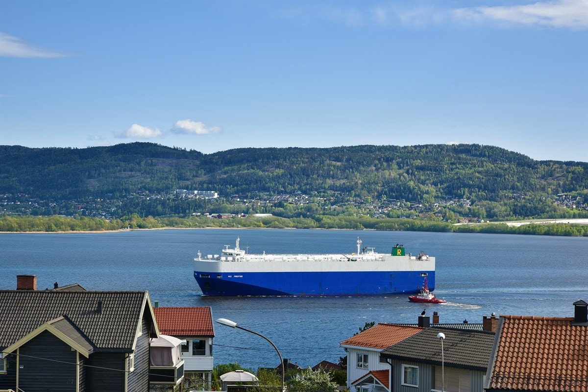 Området er naturskjønt og rolig samtidig som det er kort vei til Drammen sentrum, togstasjon og påkjøringsfeltene til E18 Oslo/Tønsberg, eller E134 mot Kongsberg. Galleribilde