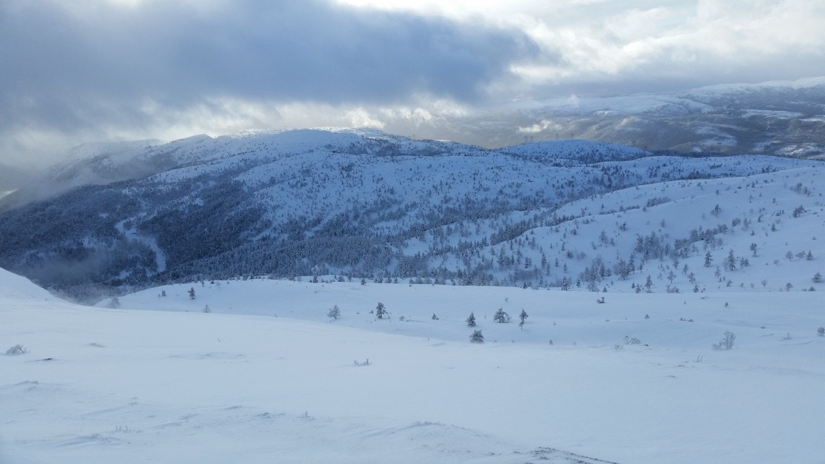 Unike naturopplevelser Galleribilde