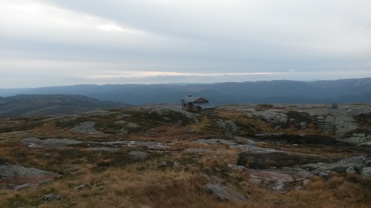 730 meter over havet. Galleribilde