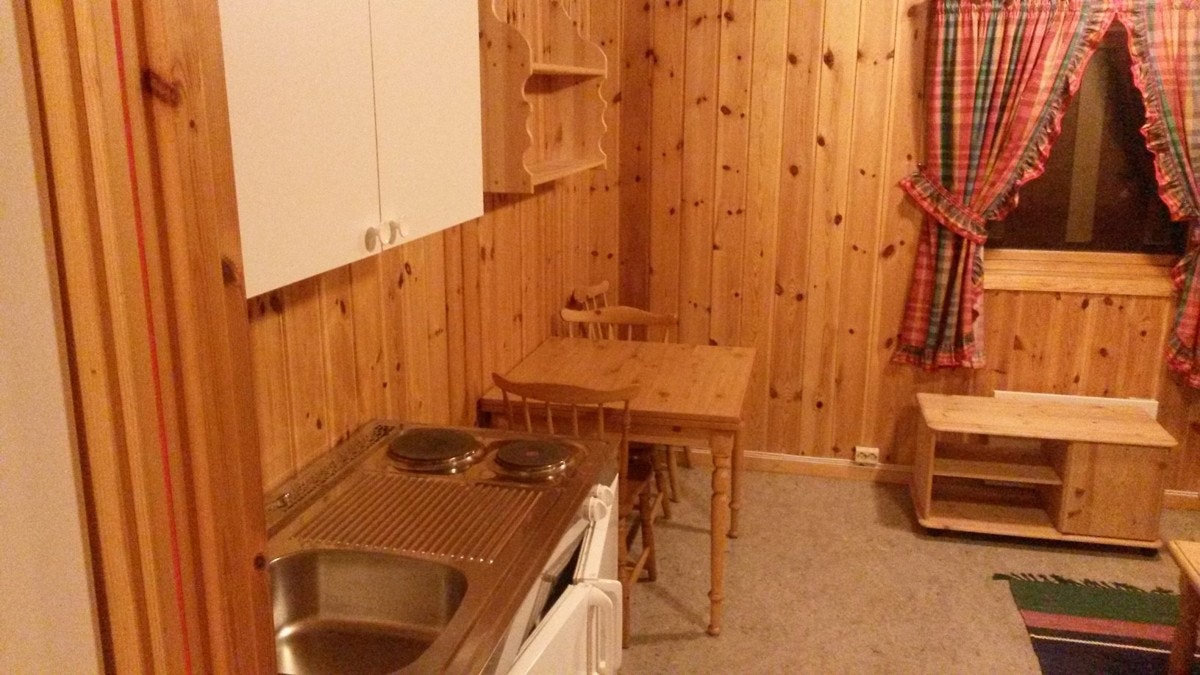 Stue med tekjøkken Galleribilde